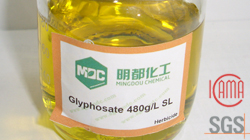 Glyphosate 480g/L SL