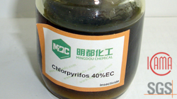 Chlorpyrifos 480g/L EC